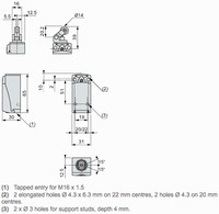 limit switch XCKD - th.plastic roller lever plung. Hor - 1NC+1NO - snap - M16, XCKD2121P16 Telemecanique